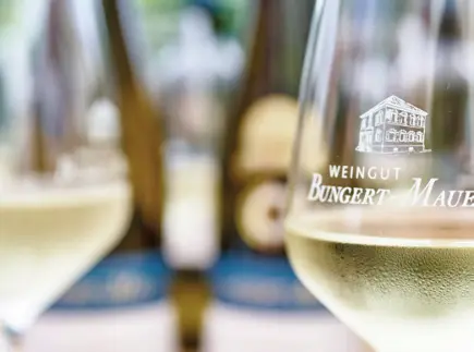 Weinprobe: Frühling & Sommer